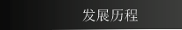 发展历程